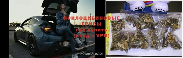 молекула духа Беломорск