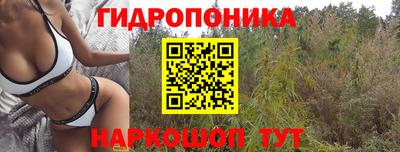 spice Бузулук