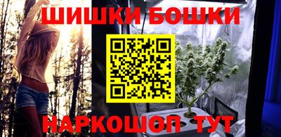 крисы Будённовск