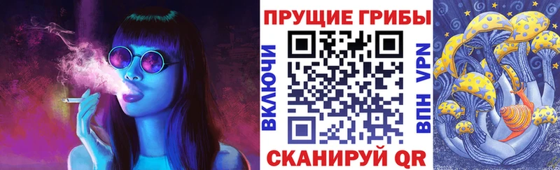 ОМГ ОМГ ТОР  где купить наркоту  Горно-Алтайск  Псилоцибиновые грибы MAGIC MUSHROOMS 
