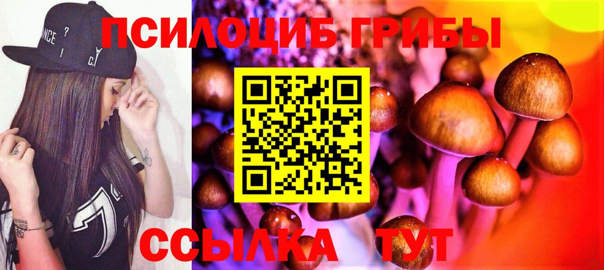 Галлюциногенные грибы ЛСД  Горно-Алтайск 