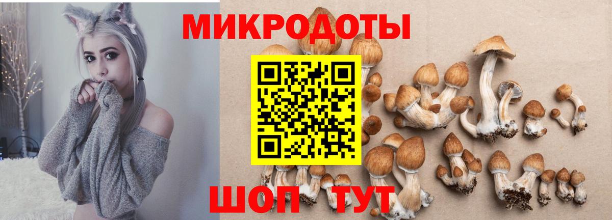 Псилоцибиновые грибы GOLDEN TEACHER Горно-Алтайск