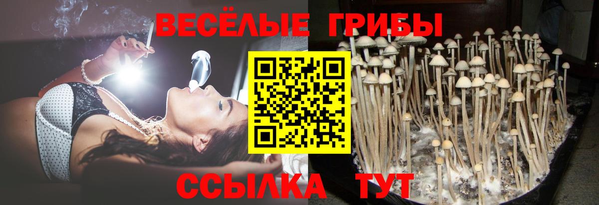Горно-Алтайск  Псилоцибиновые грибы MAGIC MUSHROOMS  Вход с VPN 
